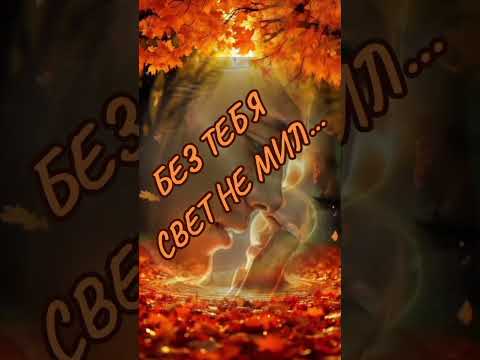 #красивыепесни #музыка #любимпеть #мелодиипесни #песнипролюбовь