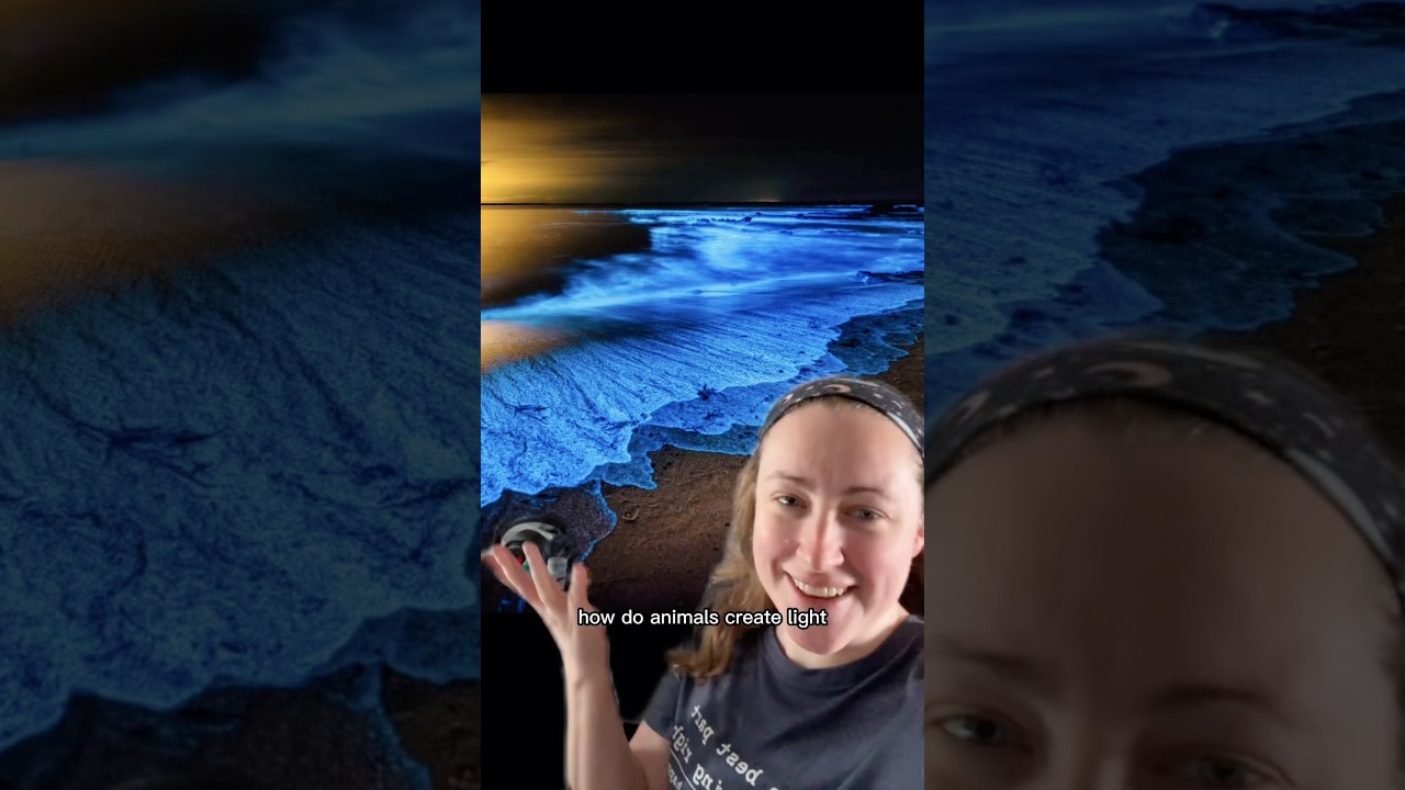 Discover Why Most Bioluminescent Creatures Live in the Ocean 🌊