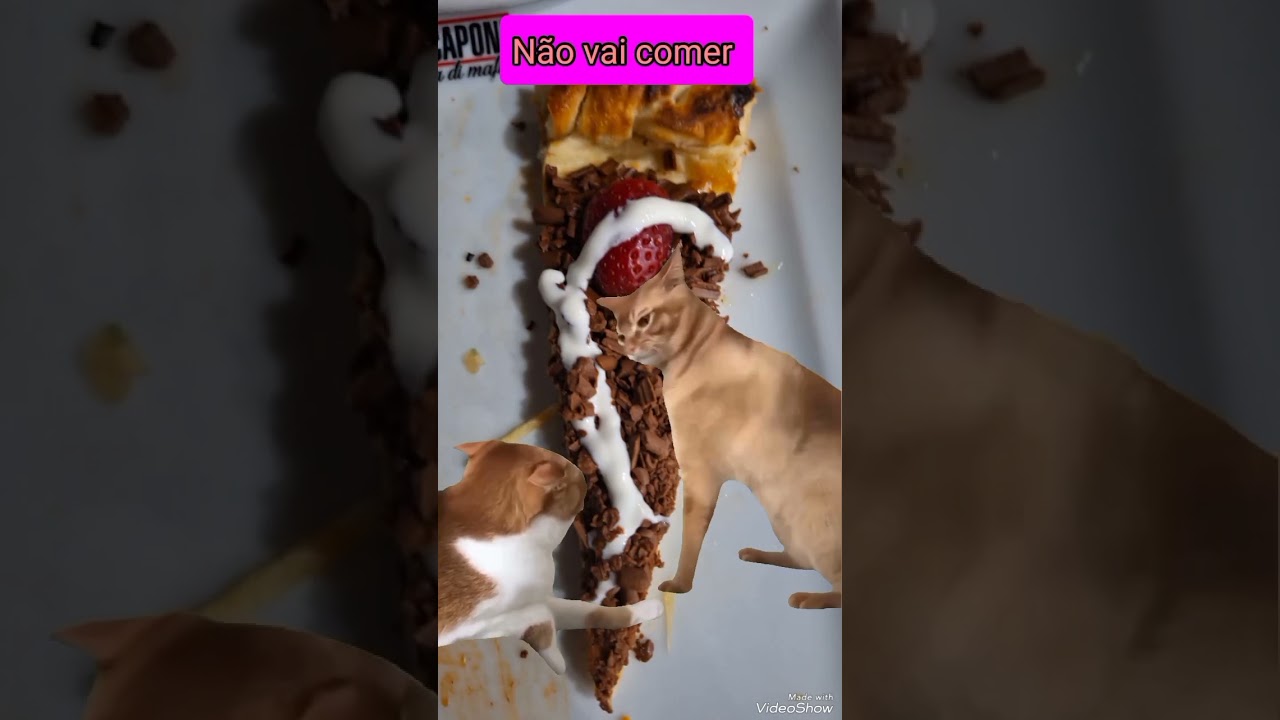 Hilarious Animal Friendships That Will Make You Smile 🐾