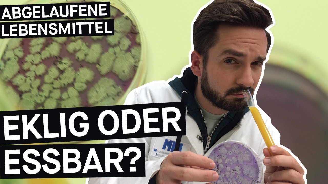 Abgelaufene Lebensmittel: Wie lange sind sie noch genießbar? 🥫