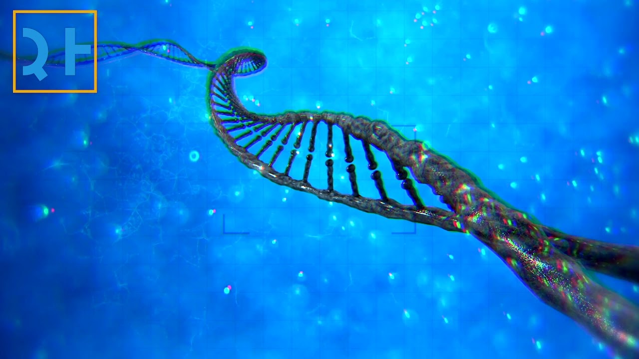 DNA Shimmies into Shapes to Fit Cells 🧬