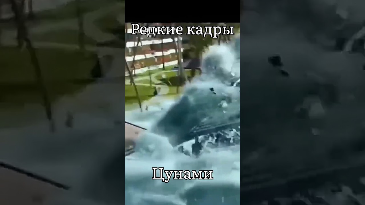 Редкие кадры Цунами. Самое большое в мире