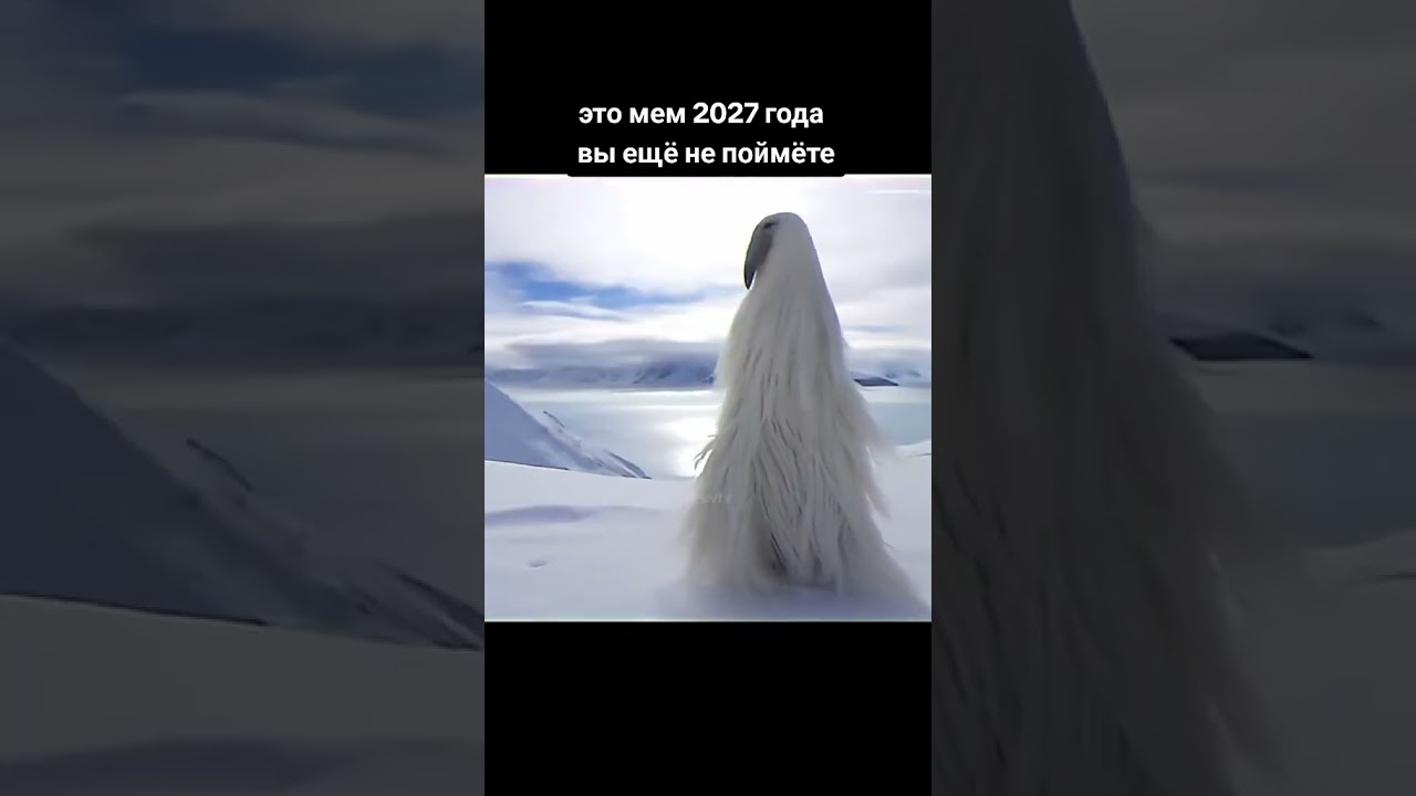 Ждем 2027: мем и короткое видео 🎬