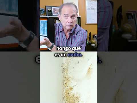 Truco para eliminar el moho de tu casa.
