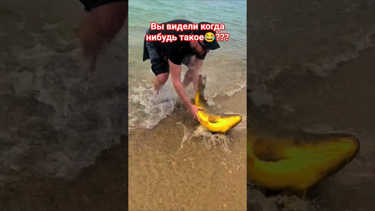 Поймал руками сазана на 20 кг!!! Вот это удача!!! #рыбалка #клубрыбаков #fishing #carpfishing#shorts