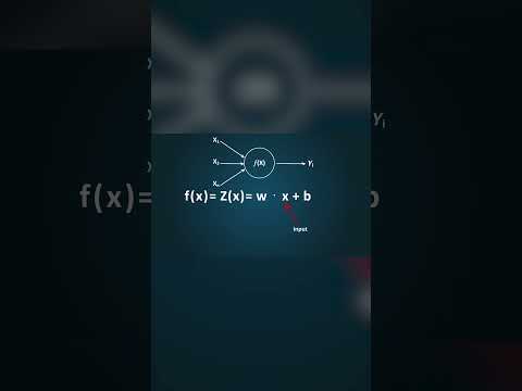How Does a Neural Network Work in 60 seconds? The BRAIN of an AI