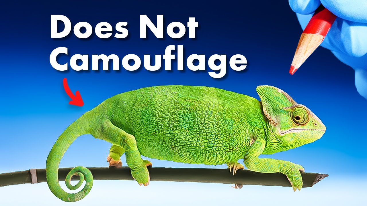 Why Do Chameleons Change Color? 🦎 Truth Revealed