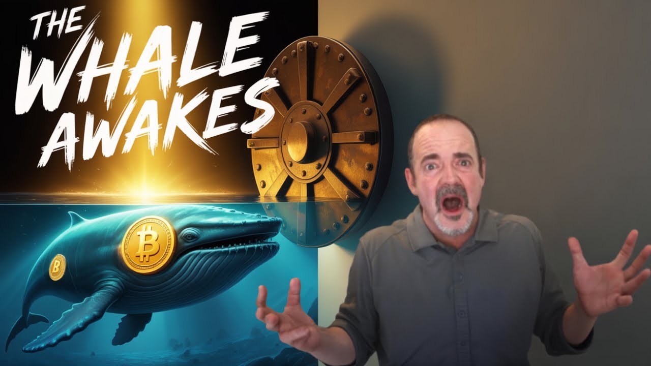 Major Bitcoin Wallet Awakens: $8 Billion Moves After 14 Years of Silence 🧐