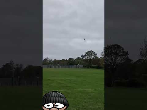 A Stunning RC Plane. #radiocontrolled #rcplane #rcflying #rcpilot #rc #rcflight #modelairplane