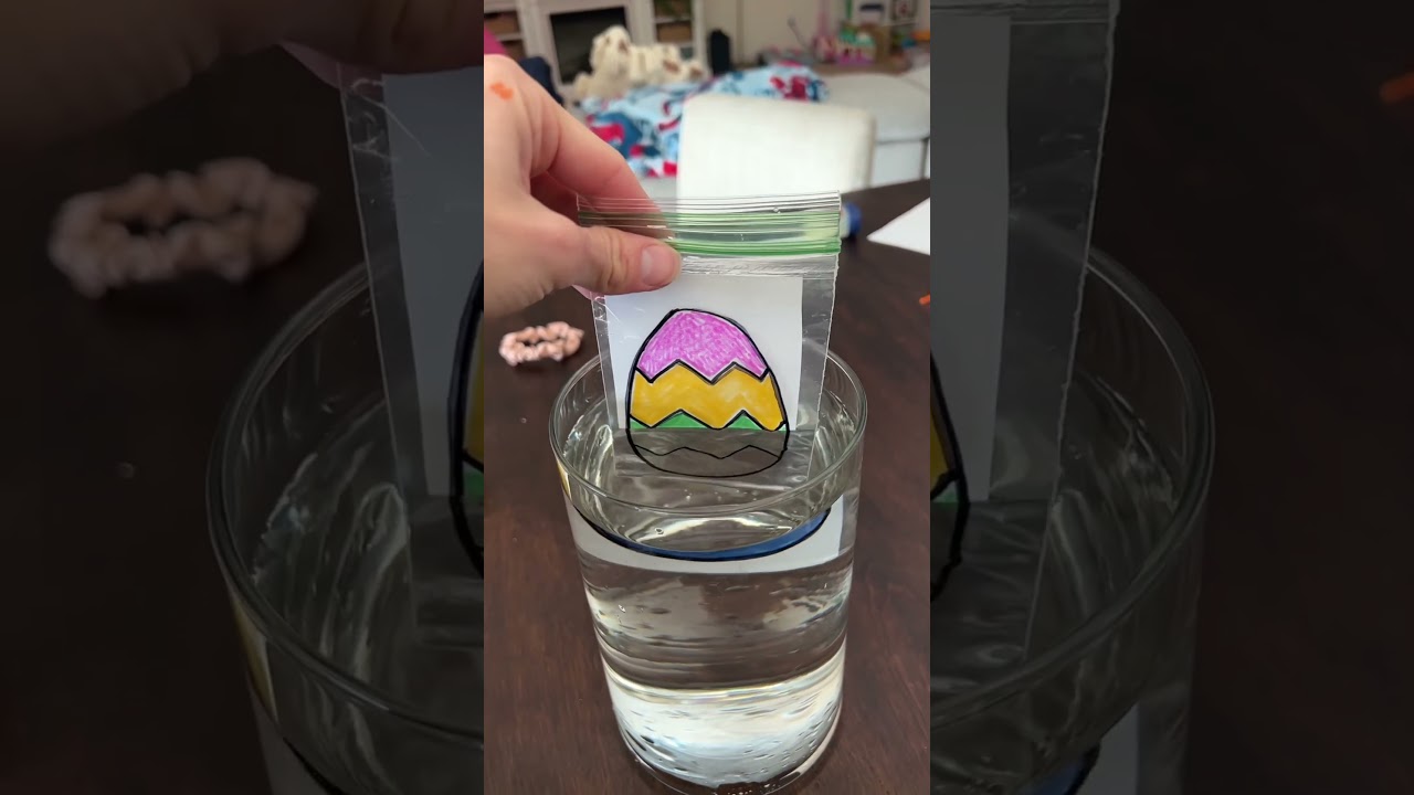 Light Refraction Experiment