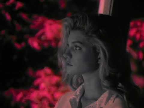 Kix - Don't Close Your Eyes (Official Video) 🎸