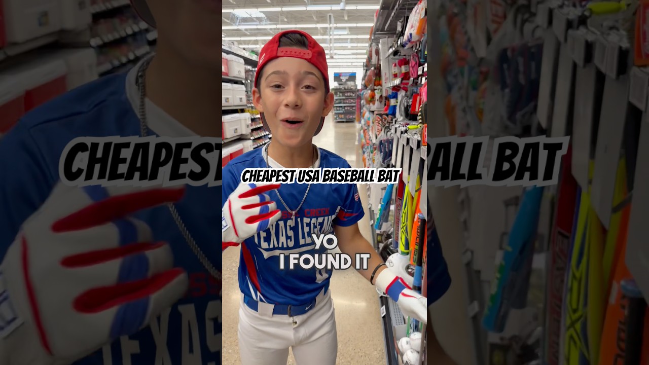 Best Cheap Baseball Bats in the USA 🧢