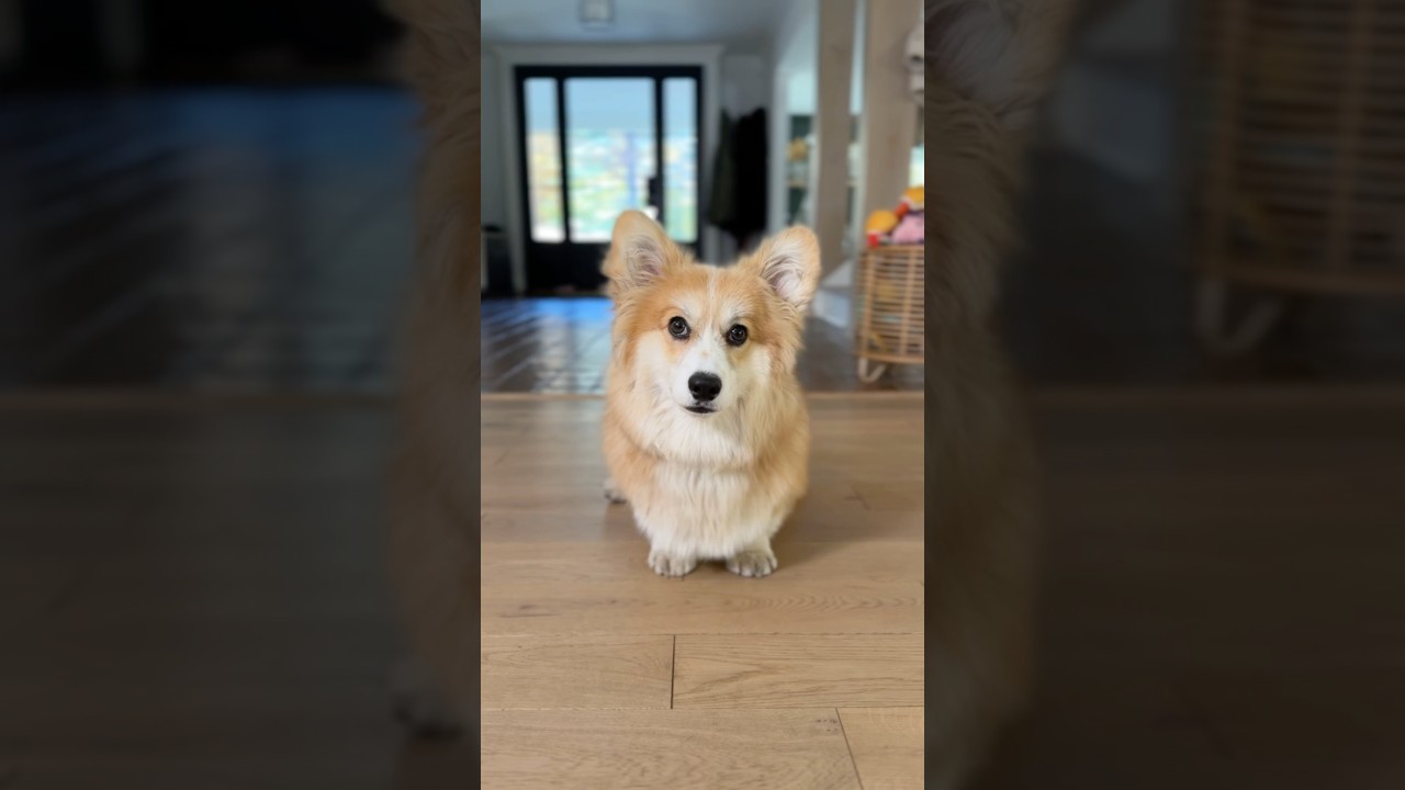 Her Imagination Knows No Bounds ✨