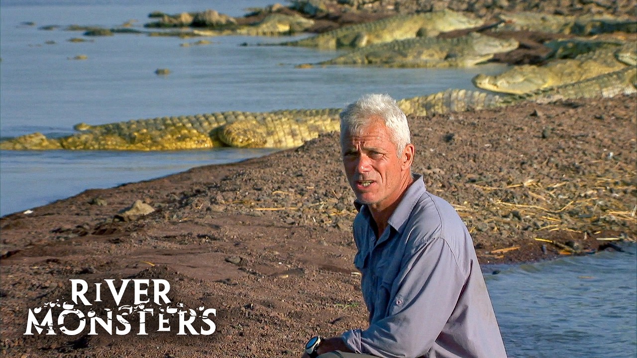 Jeremy Wade’s Top Deadly Animal Encounters 🐟