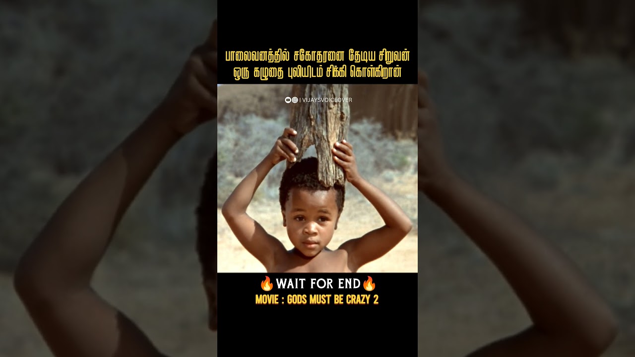 புலியை ஏமாற்றிய சிறுவன் | Vijay's Voice Over