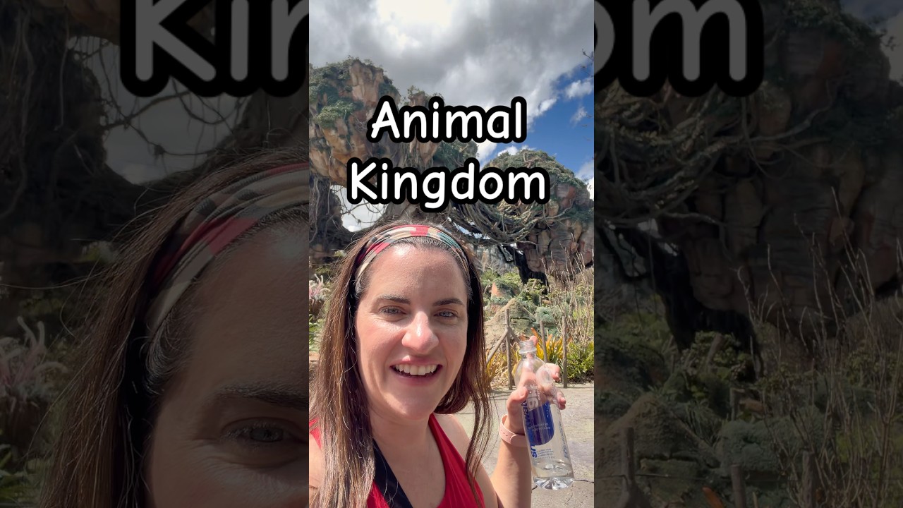 Explore Disney’s Animal Kingdom 🌿