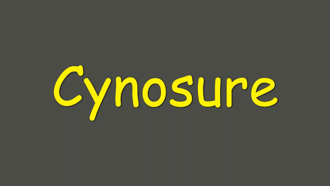 Cynosure meaning