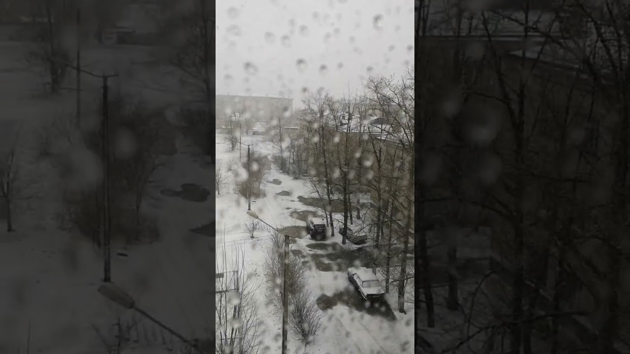 Чита в апреле: весенний привет и свежие новости 🌸