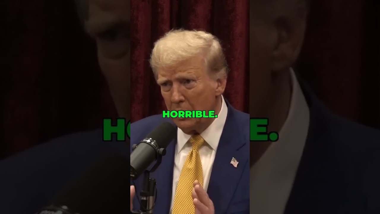 Environmental Impact Studies: The Real Facts 🌍