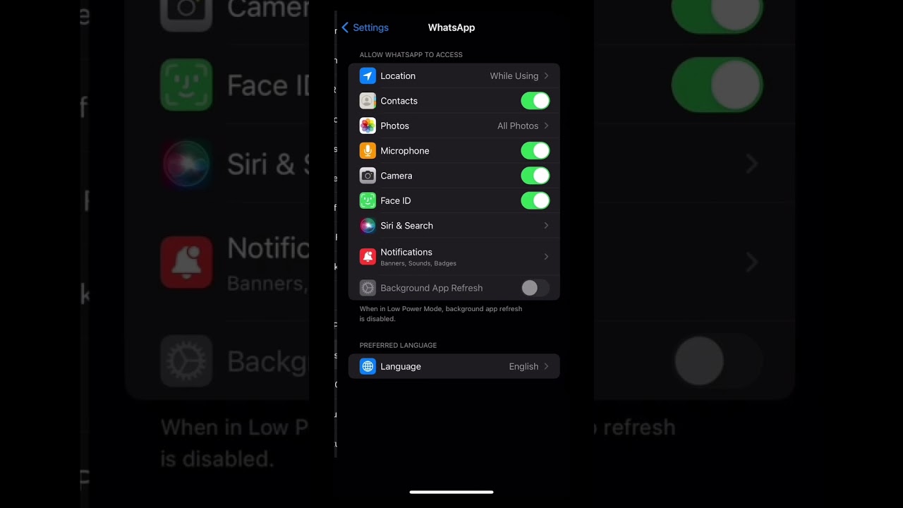 Fix WhatsApp Contacts Not Showing on iPhone 📱