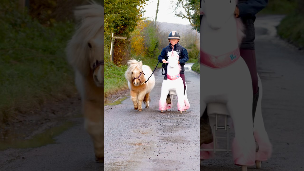 Taking My Pony Out for a Ride 🐎