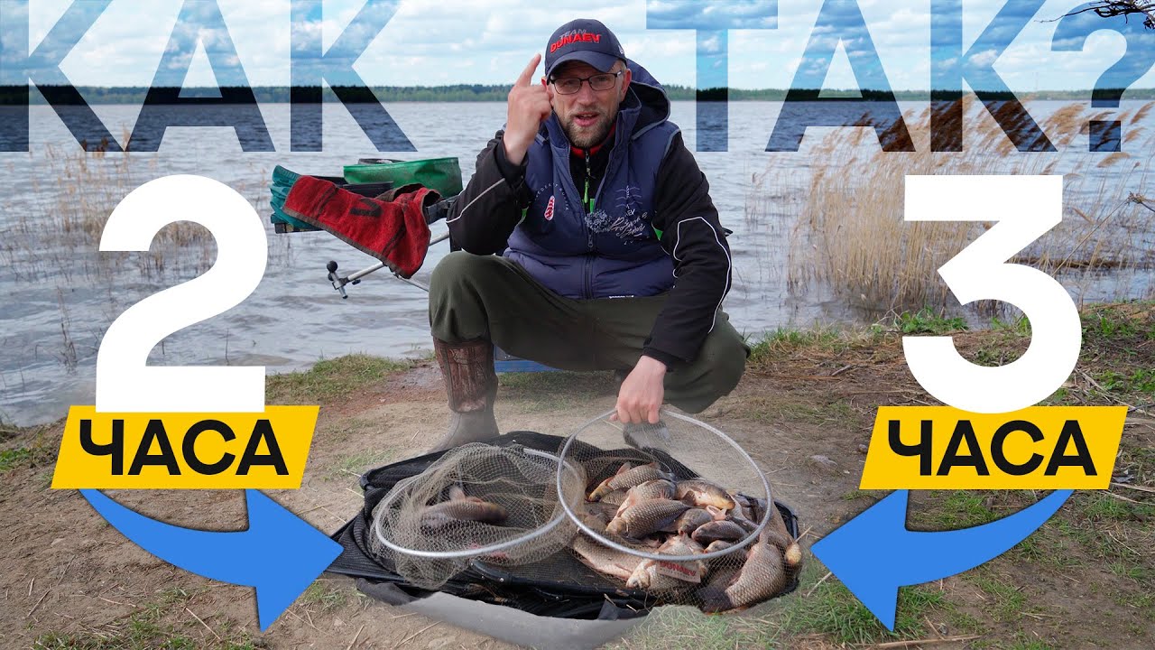 Что делать, если карась не клюёт? Неожиданное решение! 🎣