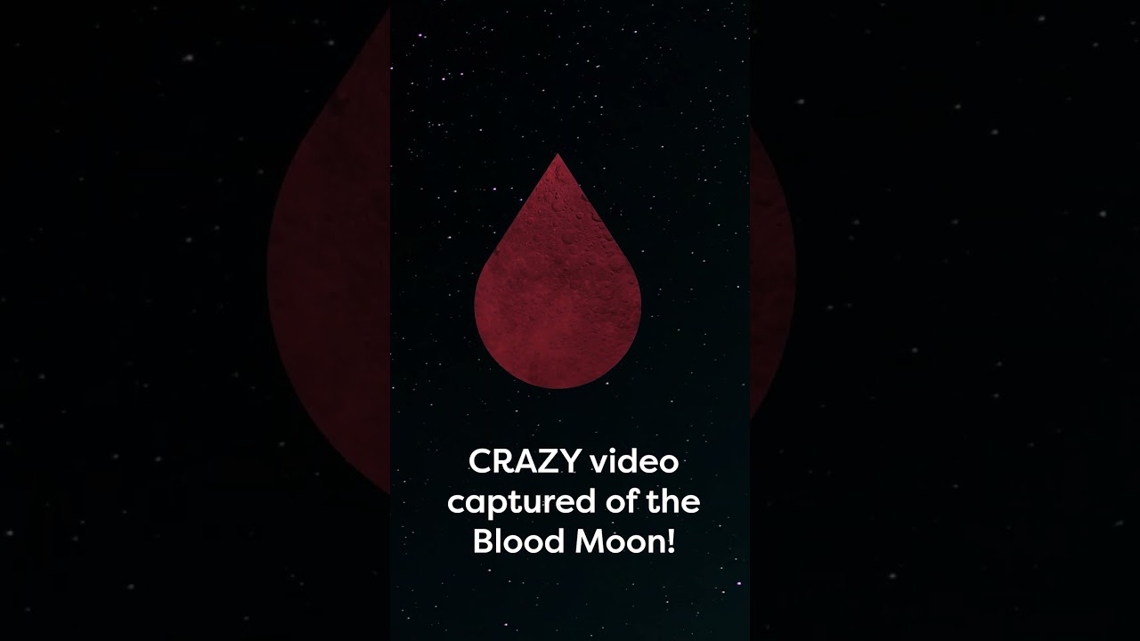 Epic Blood Moon Timelapse & Blood Donation 🌕