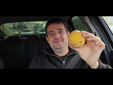 АВТОРЫНОК СХОДИТ С УМА ИЗ ЗА 1 НОЯБРЯ! ЗНАЕШЬ ПОЧЕМУ ЛЮДИ ТАК СПЕШАТ?