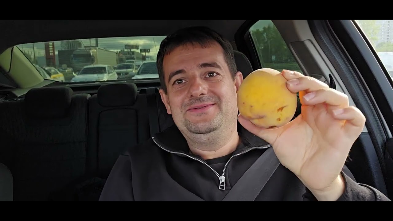 Почему рынок так активно реагирует на 1 ноября? Узнайте все причины! 📈