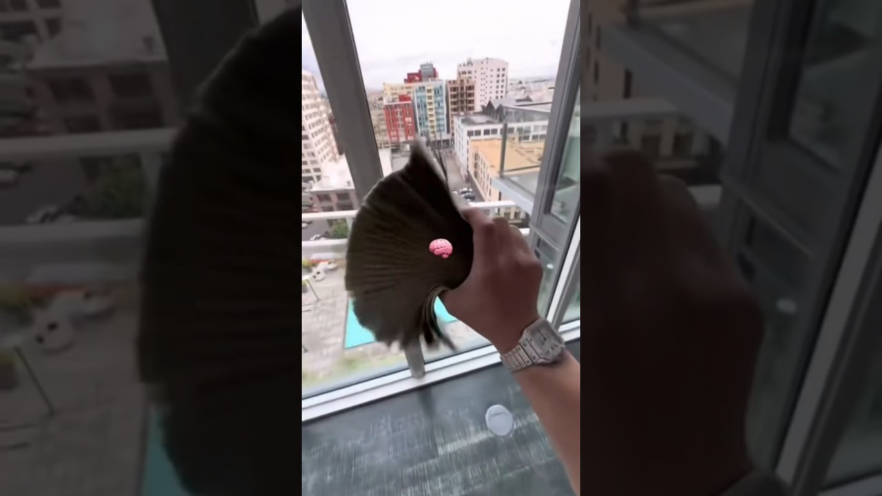 FloyyMenor & Cris Mj Gata Lyrics 🎶