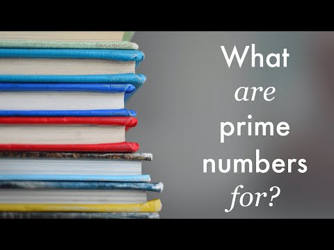 What Are Prime Numbers For?
