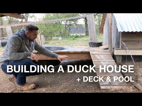 🔨 Building a Duck House w/Deck & Pool On The Farm (coop, pen, run)