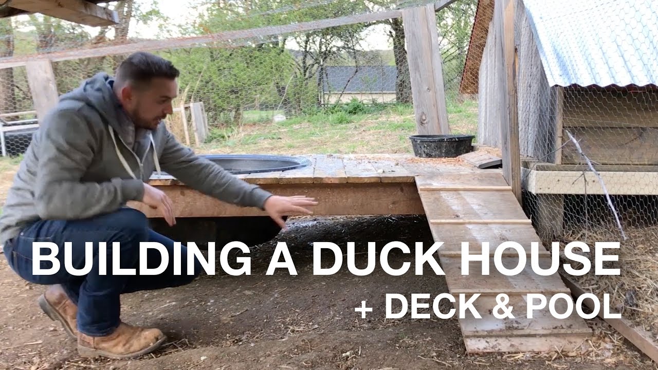 Constructing a Duck House with Deck and Pool on the Farm (Coop, Pen, Run)