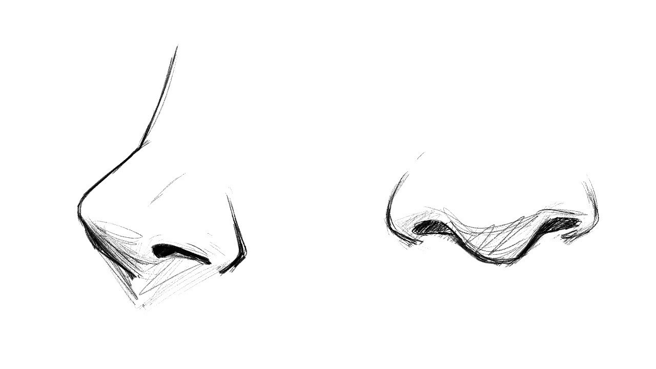 Drawing Noses: Beginner Tips π¨