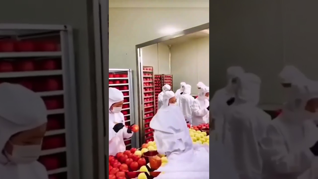 Fake Fruits & Vegetables π