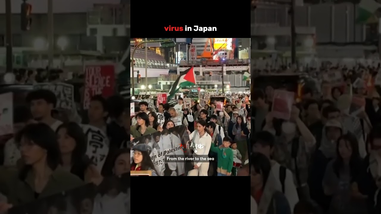 RSS in Japan 🇯🇵 | Short Insights