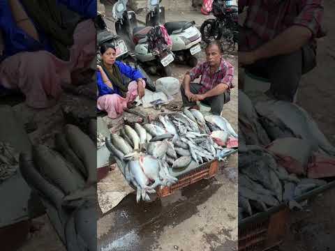 What is Dharavi? Inside the world’s largest slum -Dharavi ,Mumbai | Richest slum #Dharavi #Mumbai