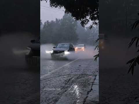 Just another day where Kerala wears her monsoon mood. 💧#rain #kerala #rainsounds #rainyday