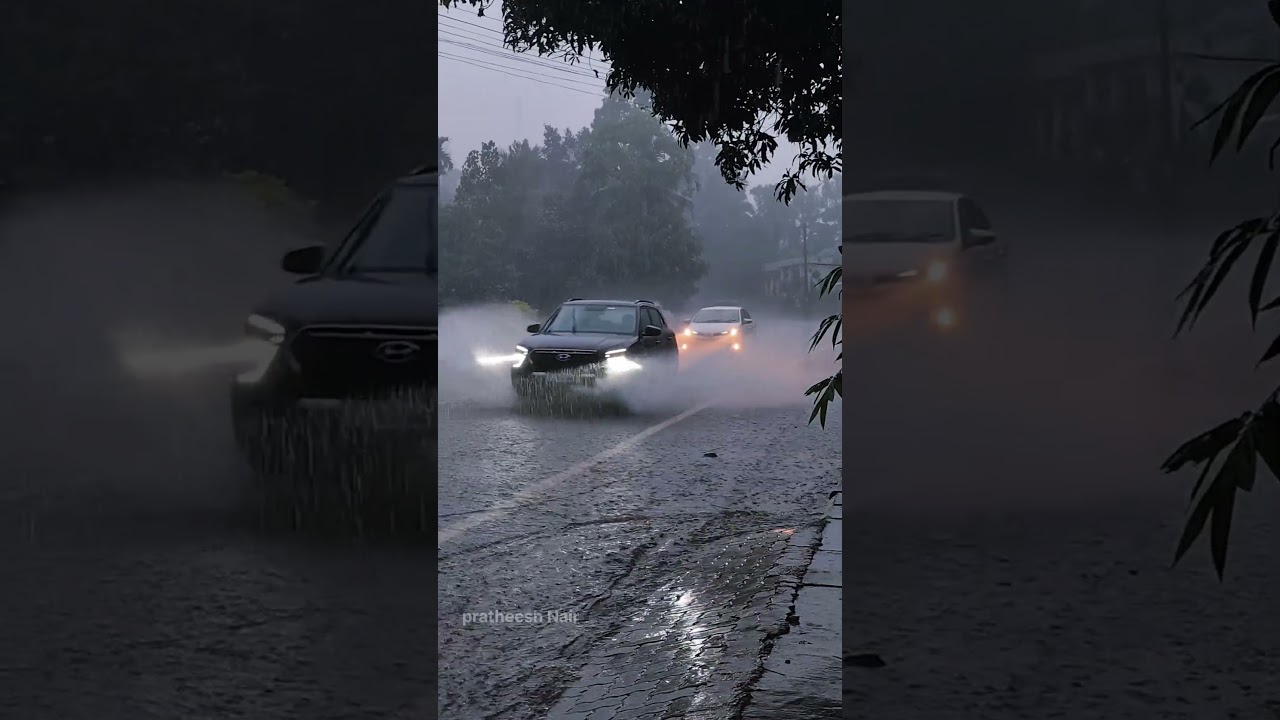 Kerala Embraces Monsoon: A Rainy Day Scene