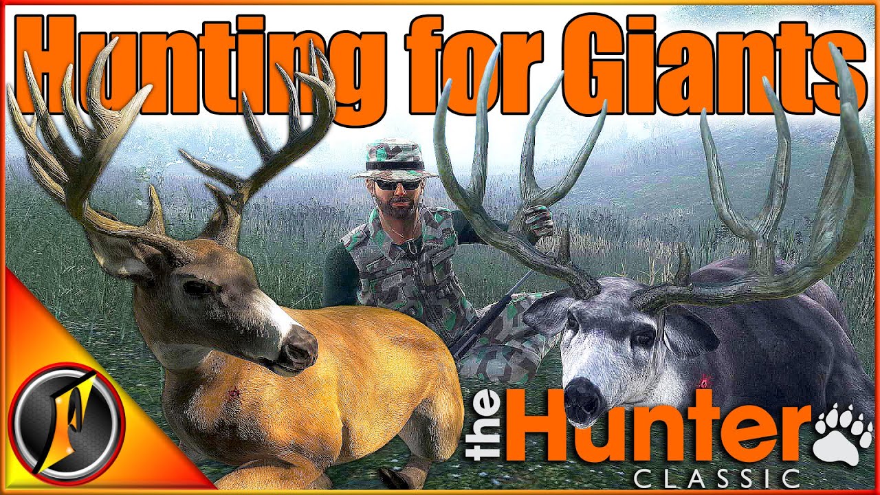Chasing a 400" Mule Deer at Loggers Point 🦌