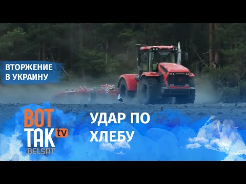 Как агрессия России отразится на ценах в Беларуси?
