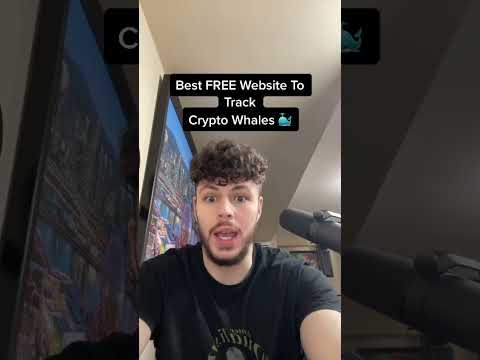 HOW TO FIND & TRACK CRYPTO WHALES YOURSELF! 🐳