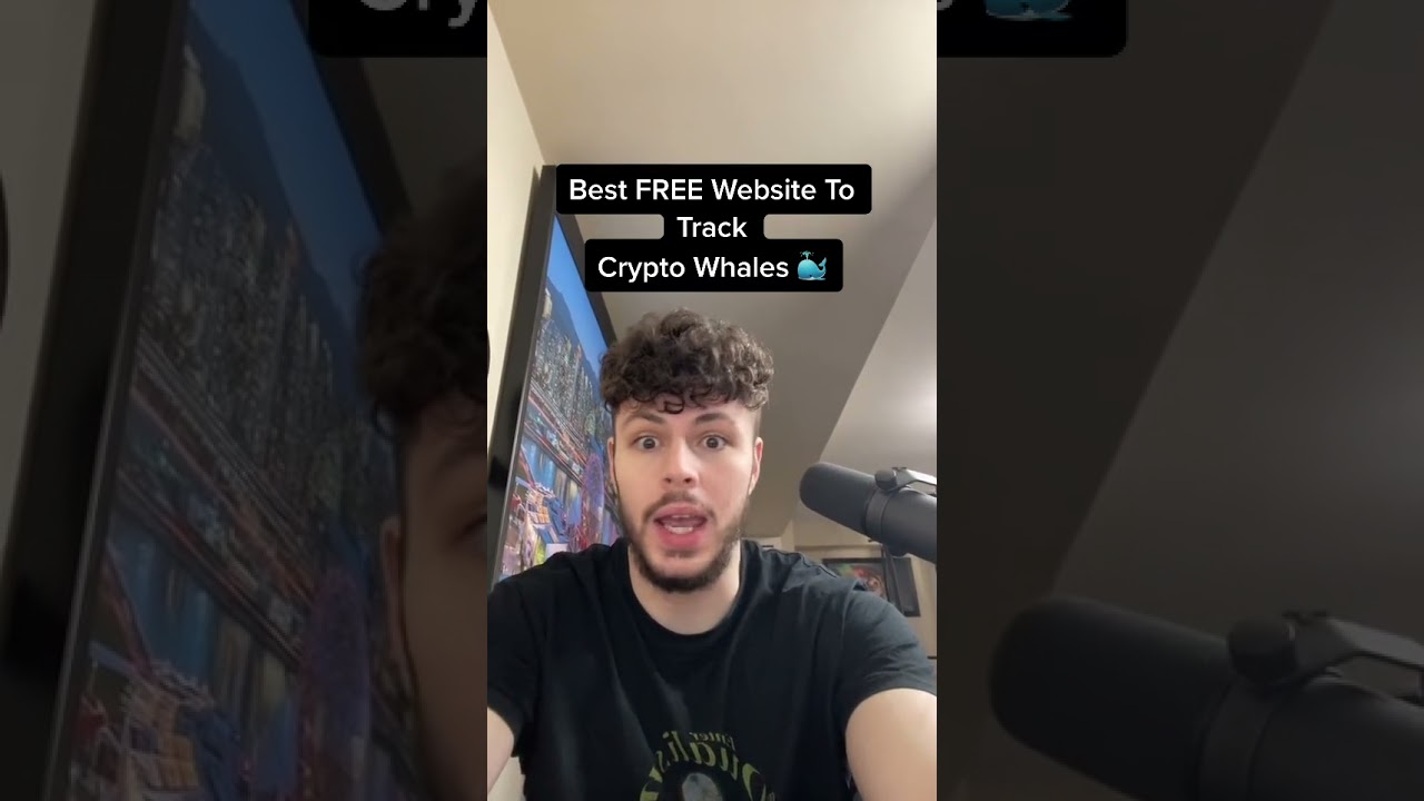 Ultimate Guide to Finding & Tracking Crypto Whales 🐳