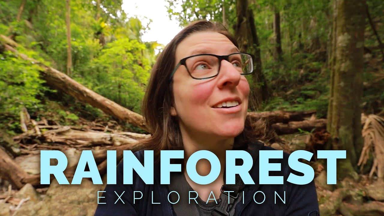 Woods Photography in Main Range National Park 🌲