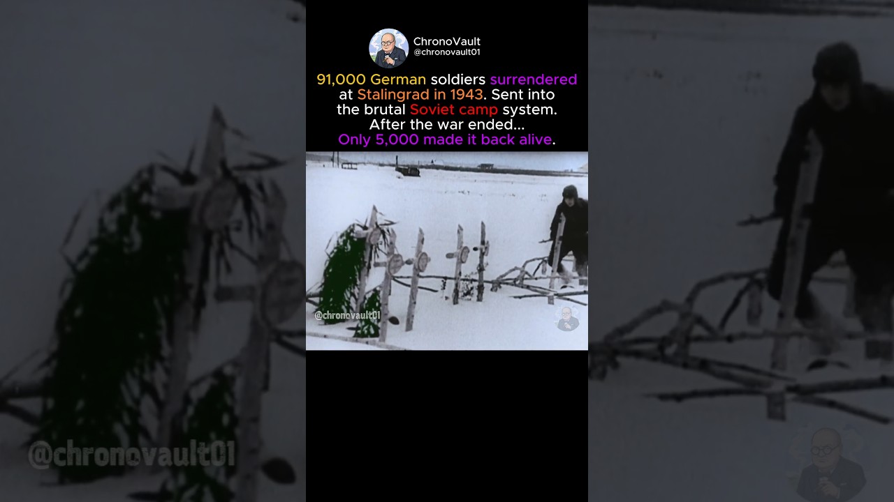 Stalingrad Prisoners' Harsh Fate ❄️