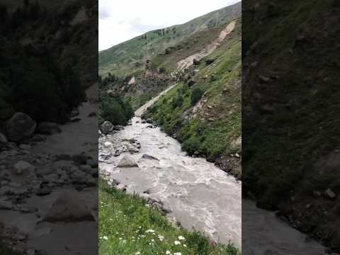 Parinday Pahada De Vich Dur Kithe #shorts #pahar