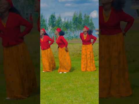 Bilillee | Andualem Gosa | New Oromo Music Video 2024