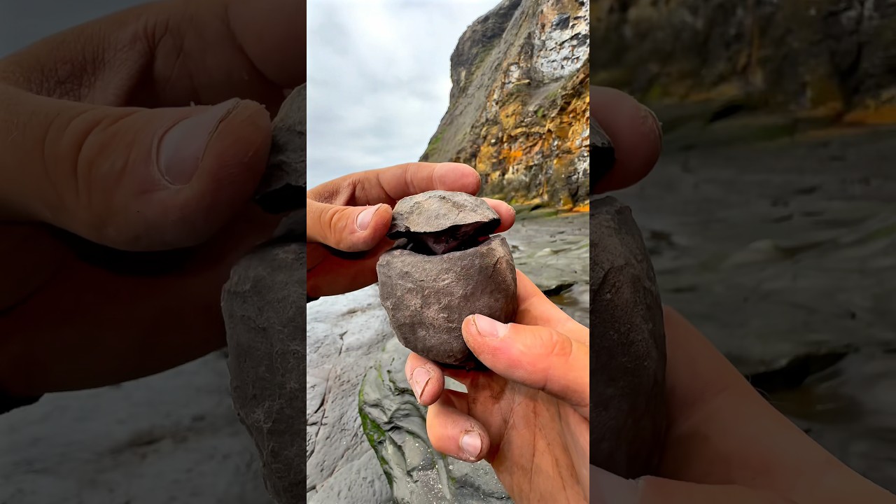 Hidden Treasure Discovered Beneath a Massive Boulder 🪨