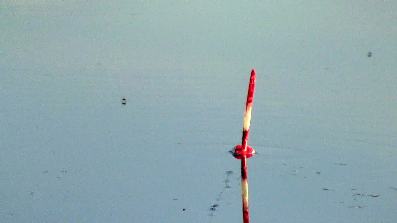 Карась на поплавок в июне на диком озере 🎣