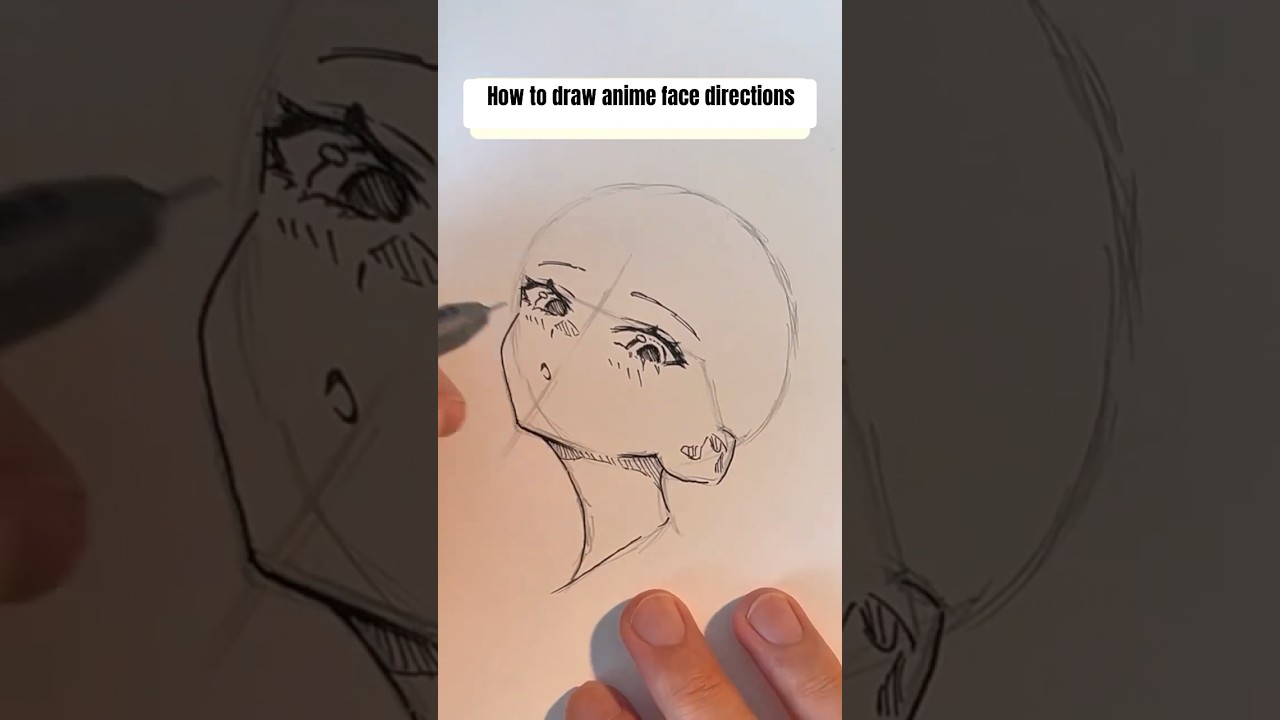 Anime Face Directions Drawing Guide 🎨